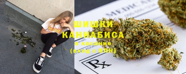 мяу мяу мука Аркадак