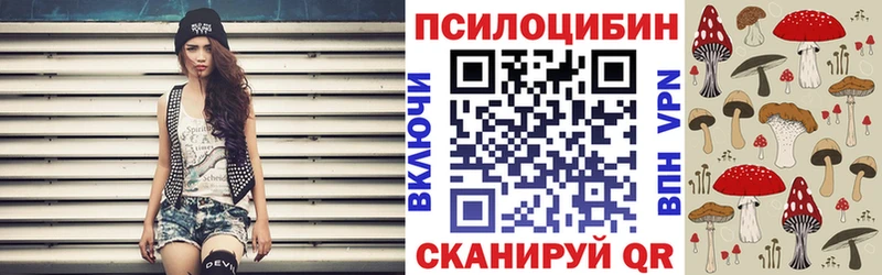 Галлюциногенные грибы мухоморы  наркотики  Ельня 